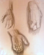 Handstudien, Bleistift auf Papier, 40x50