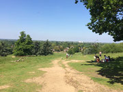 The view from Richmond Park