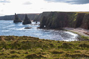 Stacks of Duncansbayhead