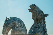 Die "Kelpies" nähe Falkirk, 30 m hoch. Jeder Kopf besteht aus 300 Tonnen Stahl. 