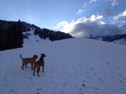 November 2013: Der erste Schnee.