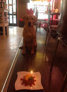 24.01.2015: Mein erster Geburtstag