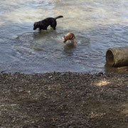 Meine erste Schwimmstunde