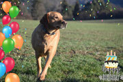 06.03.2019: Mein sechster Geburtstag