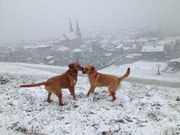 März 2014: Der Winter ist zurück.