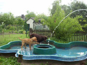 ... unser Pool.