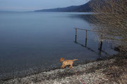 Uiii - ist das Wasser kalt. Aber warte nur, bis ich groß bin, dann komme ich.