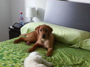 Papa, wo du schläfst, kann ich nicht sagen. Das ist in jeden Fall nun mein Platz.