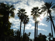 Spanien - spain - Sevilla - Flamenco - sherry - stierkampf - bullfighting - Torrero - Andalusien - Andalucia - Tapas - incentive reisen incentive agentur - Meeting-Incentive-Conference-Events - Mitarbeitermotivation - Teambuilding - Veranstaltung