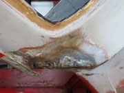 windscreen frame corner filled