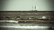 Ostseewellen mit Segelschiff, Rügen, Schwarzweißfoto, Enno Franzius