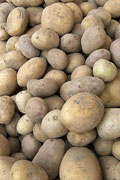 Kartoffeln, Foto, Enno Franzius