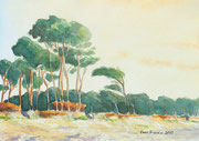 Bäume am Strand, Darß, Mecklenburg-Vorpommern, Aquarellbild, Aquarellmalerei, Aquarell, A4, 2023, Enno Franzius