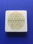 Magnet 5x5 gold