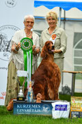 BEST IN SHOW 4 īru seters VILSON GARDSAOIR WOLHUN