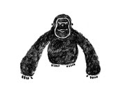 monkey