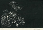 中央区：吉田庄太郎