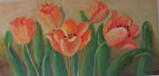 tulipani