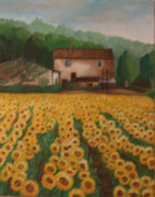 girasoli