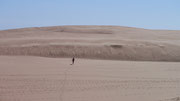 Fudgie in the distance running up the sand dune!