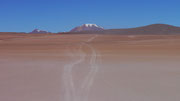 Laguna Altiplanicas (Canapa, Hedionda & Honda), Bolivia (San Pedro de Atacama, Chile to Uyuni, Bolivia)