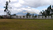 Visiting our homestay family's home just outside Otavalo, Ecuador