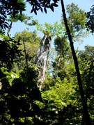Rincon de la Vieja, Guanacaste, Costa Rica