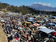 Saturday Animal Market in Otavalo, Ecuador