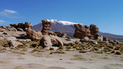 Laguna Altiplanicas (Canapa, Hedionda & Honda), Bolivia (San Pedro de Atacama, Chile to Uyuni, Bolivia)