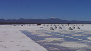 Salar de Uyuni, Bolivia (San Pedro de Atacama, Chile to Uyuni, Bolivia)