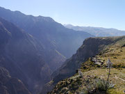 Colca Canyon (near Arequipa), Peru - the world's deepest canyon at more than twice the depth of the Grand Canyon in the USA (13,650 ft (4,160 m))