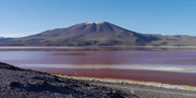 Laguna Colorada, Bolivia (San Pedro de Atacama, Chile to Uyuni, Bolivia)