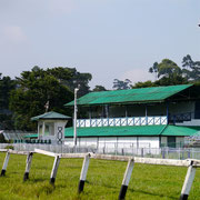 Sri Lanka Turf Club grandstand and stables