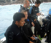 Diving at Seymour, Santa Cruz, Galapagos Islands