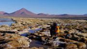 Laguna Colorada, Bolivia (San Pedro de Atacama, Chile to Uyuni, Bolivia)