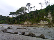 Playa Negra - Mompiche, Ecuador