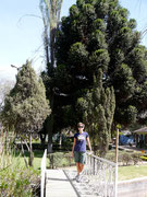 Jardin Botanico Martin Gardenas, Cochabamba, Bolivia