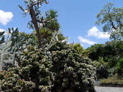 Jardin Botanico - Medellin, Colombia