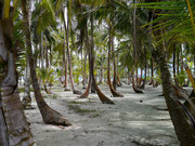 Our Island - Islas San Blas, Panama
