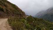 Salkantay Trek, Peru (5 days)