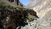 Colca Canyon (near Arequipa), Peru