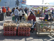 Saturday Animal Market in Otavalo, Ecuador