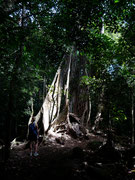 Rincon de la Vieja, Guanacaste, Costa Rica