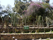 Jardin Botanico Martin Gardenas, Cochabamba, Bolivia