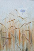 olieverf op linnen, 20x30cm, prijs 230,00e (incl. lijst)