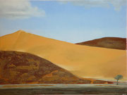 Sossusvlei Namibië - oil, acryl and Namibsand on canvas 80 x 60 cm