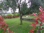 Coin jardin