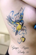 mésange bleu tatouage aquarelle par Ginger pepper chez Lucky30 à nimes. Tattoo bird and heart watercolor 
