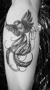 Tatouage Phoenix noir et blanc réalisé par Ginger Pepper chez Lucky30 tattoo Nimes