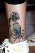 Tatouage oiseau fleur noir et blanc réalisé par Ginger Pepper  Lucky30 tattoo Nimes